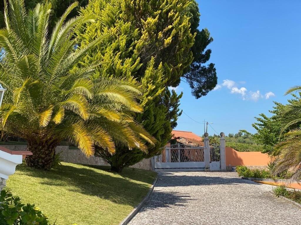 Vila Quinta Do Alto Dos Pinheiros São João da Ribeira Exteriér fotografie