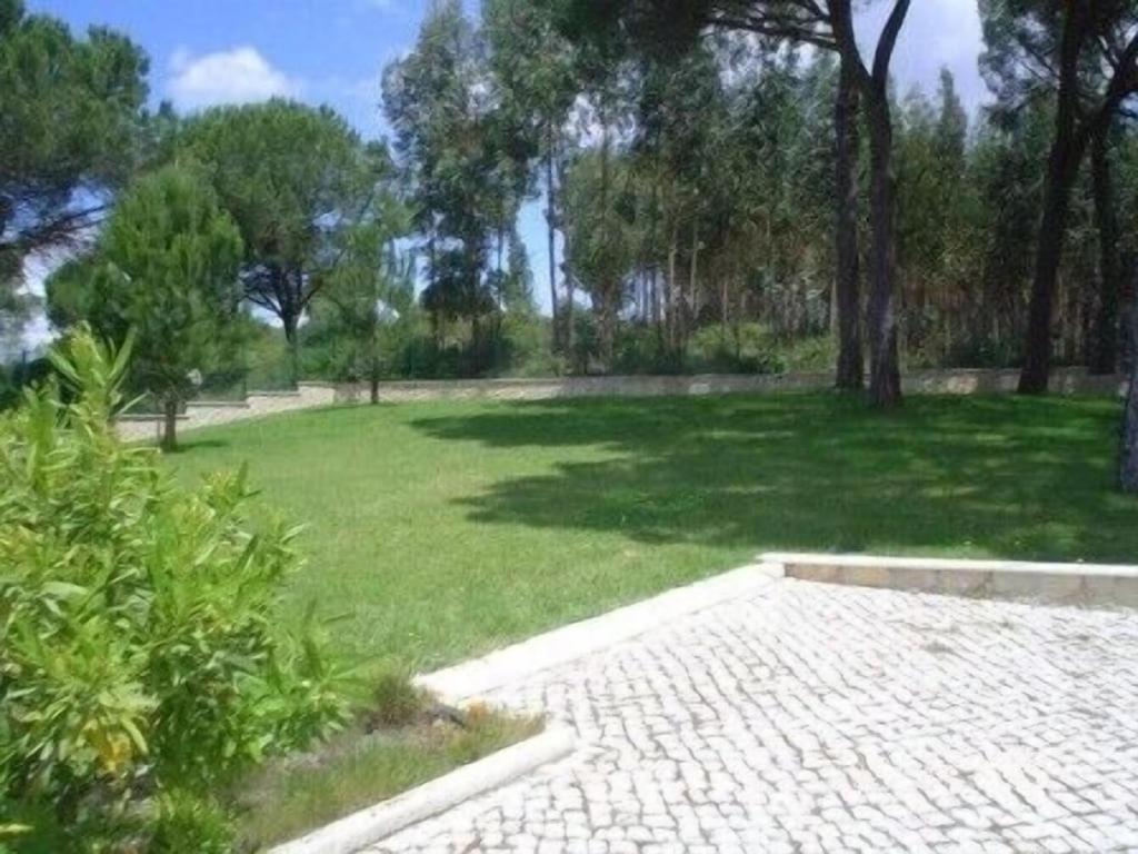 Vila Quinta Do Alto Dos Pinheiros São João da Ribeira Exteriér fotografie