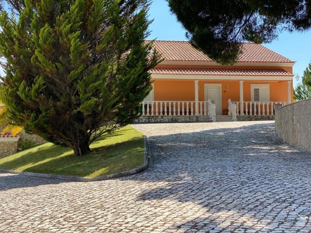 Vila Quinta Do Alto Dos Pinheiros São João da Ribeira Exteriér fotografie